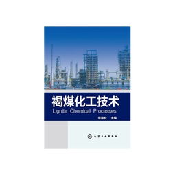 褐煤化工技術(shù)與計(jì)算機(jī)軟件技術(shù)開發(fā)的融合創(chuàng)新